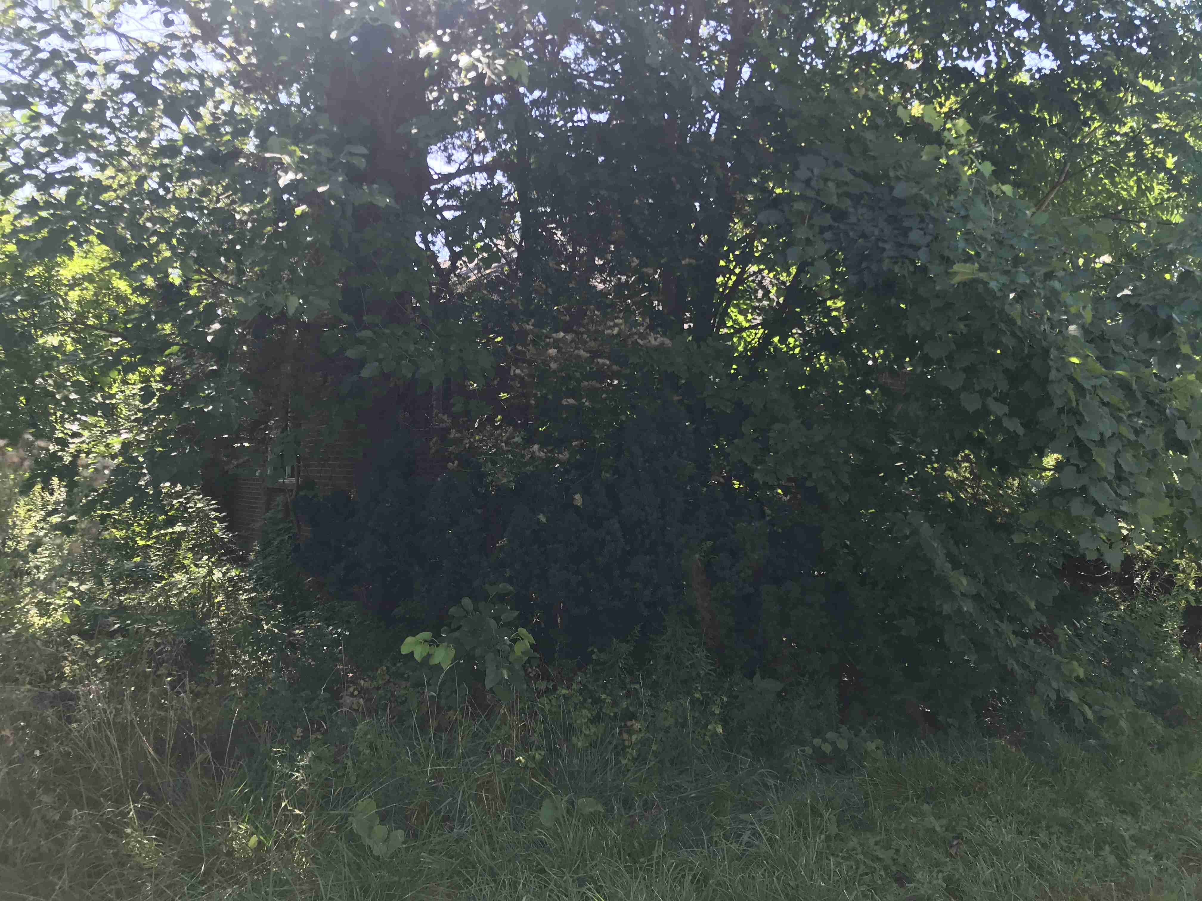 Photo Aug 21, 1 13 11 PM (1).jpg